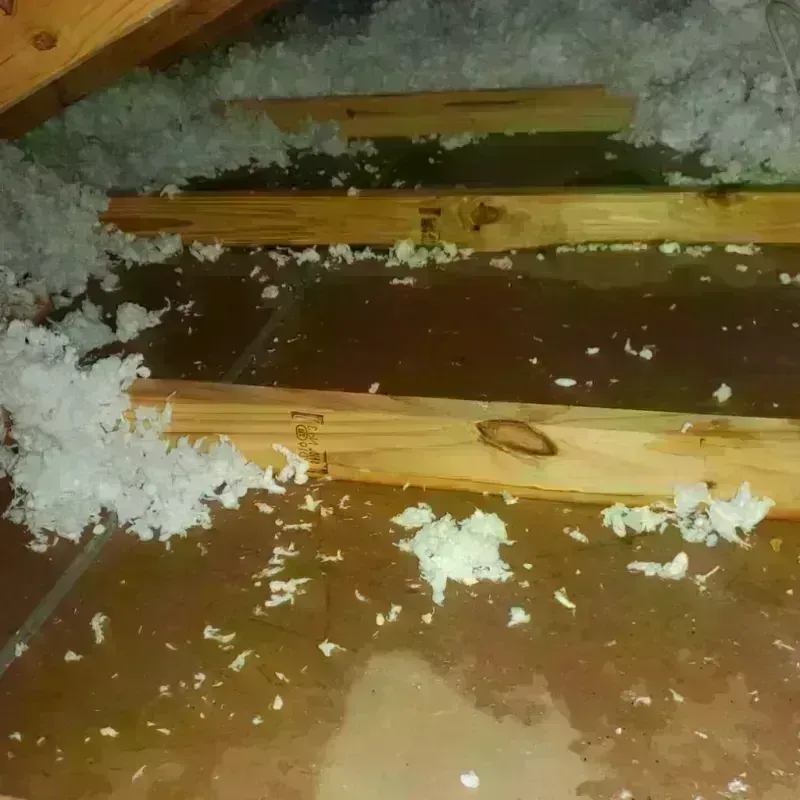 Attic Water Damage in East Berlin, PA